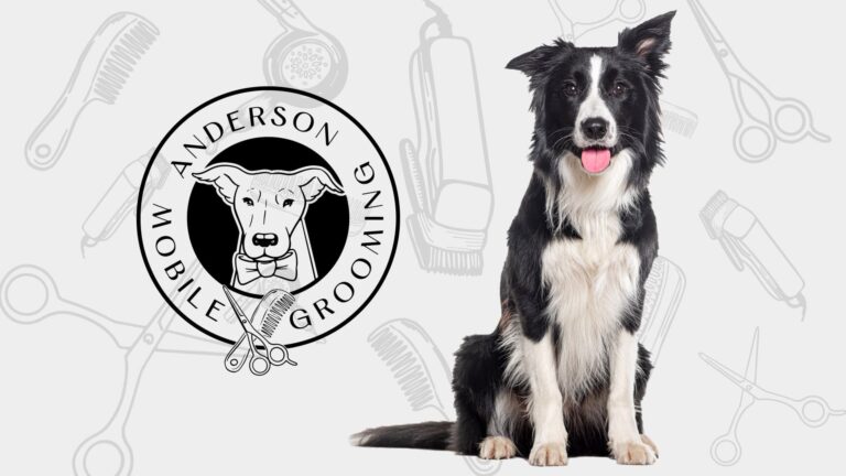 Anderson Mobile Grooming logo, black and white Collie